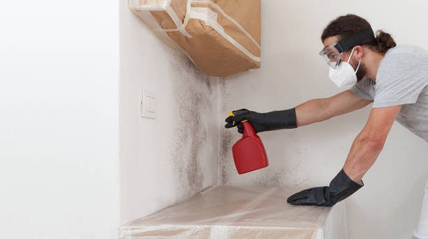 Professional Crawl Space Mold Removal technician working in Coalport, PA