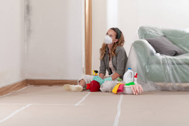 Reliable Crawl Space Mold Removal contractor in Coalport, PA by WQB Mold Removal